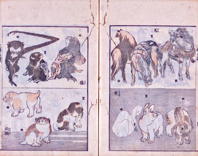 北斎漫画 森羅万象のスケッチ 太田記念美術館 Ota Memorial Museum Of Art