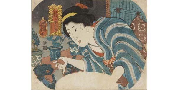歌川芳虎「座しき八景の内　上漏の松の雨」ジョウロで水をやる女性　ジョウロが描かれている珍しい図（個人蔵）【前後期展示】