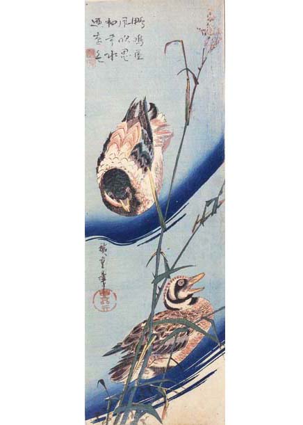 歌川広重「芦に鴨」(前期展示)